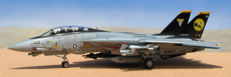 F-14D トムキャット VF-31 ハセガワ1/48 TOMCAT トムキャッターズ プラモデル