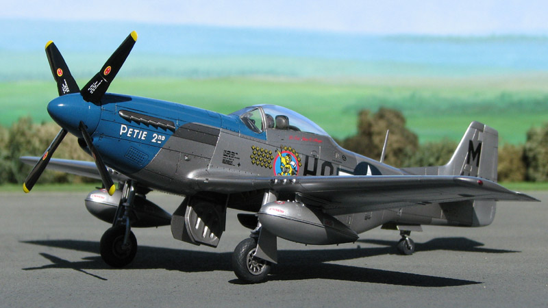 ノースアメリカン P-51D マスタング（ムスタング） タミヤ1/48 NORTH AMERICAN P-51D MUSTANG 8th AF  プラモデル